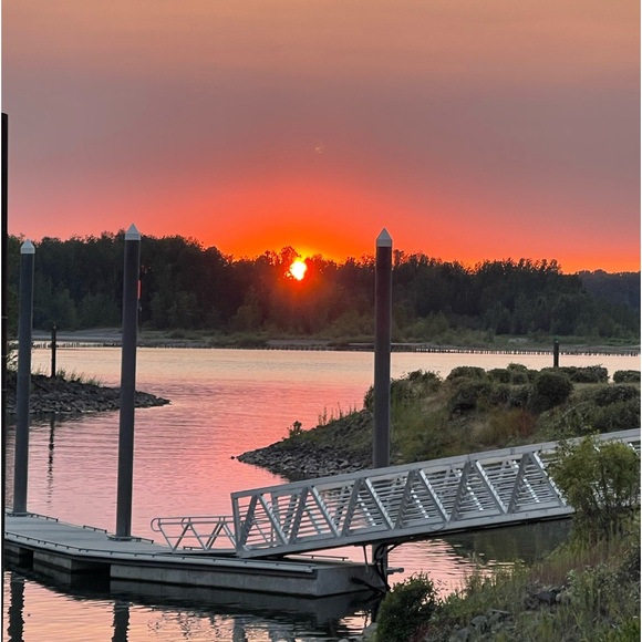 βΌοΈDonations are welcomed βΌοΈβΌοΈβΌοΈβΌοΈβΌοΈβΌοΈβΌοΈ - Picture 3 of 5